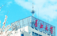 学校设有5个一级学科博士点、博士后科研